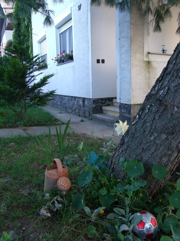 Viola Vendégház Kehidakustány Esterno foto